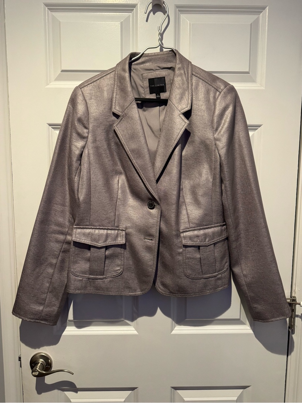 The Limited Metallic Silver Gray Blazer